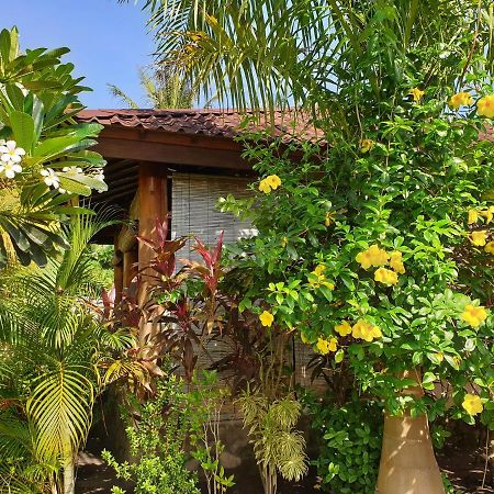 Waiara Village Guesthouse 마우메레 외부 사진