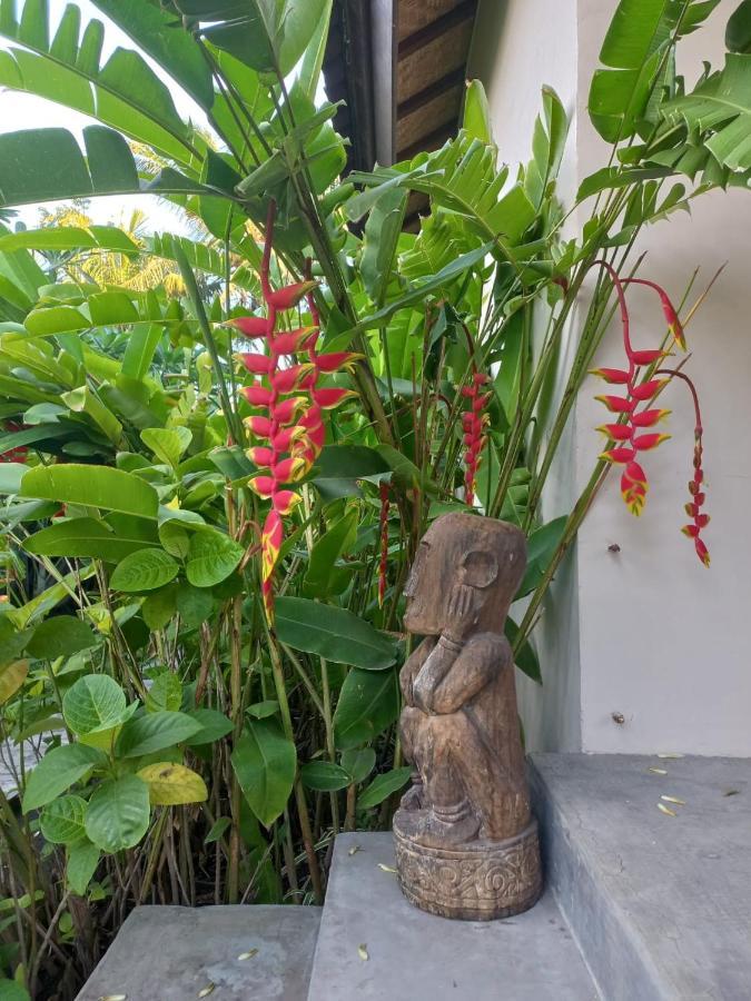 Waiara Village Guesthouse 마우메레 외부 사진